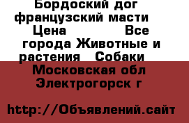 Бордоский дог ( французский масти)  › Цена ­ 50 000 - Все города Животные и растения » Собаки   . Московская обл.,Электрогорск г.